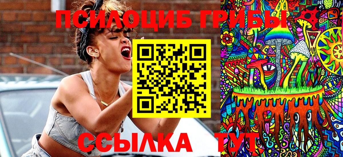 Петропавловск-Камчатский  Галлюциногенные грибы Cubensis  Вход с VPN  Галлюциногенные грибы Psilocybe 