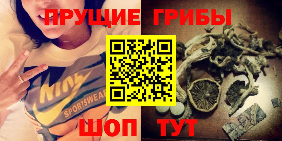 Псилоцибиновые грибы MAGIC MUSHROOMS Петропавловск-Камчатский